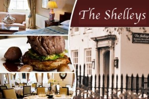 shelleys